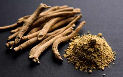 ¿Cuáles son los complementos alimenticios más vendidos?